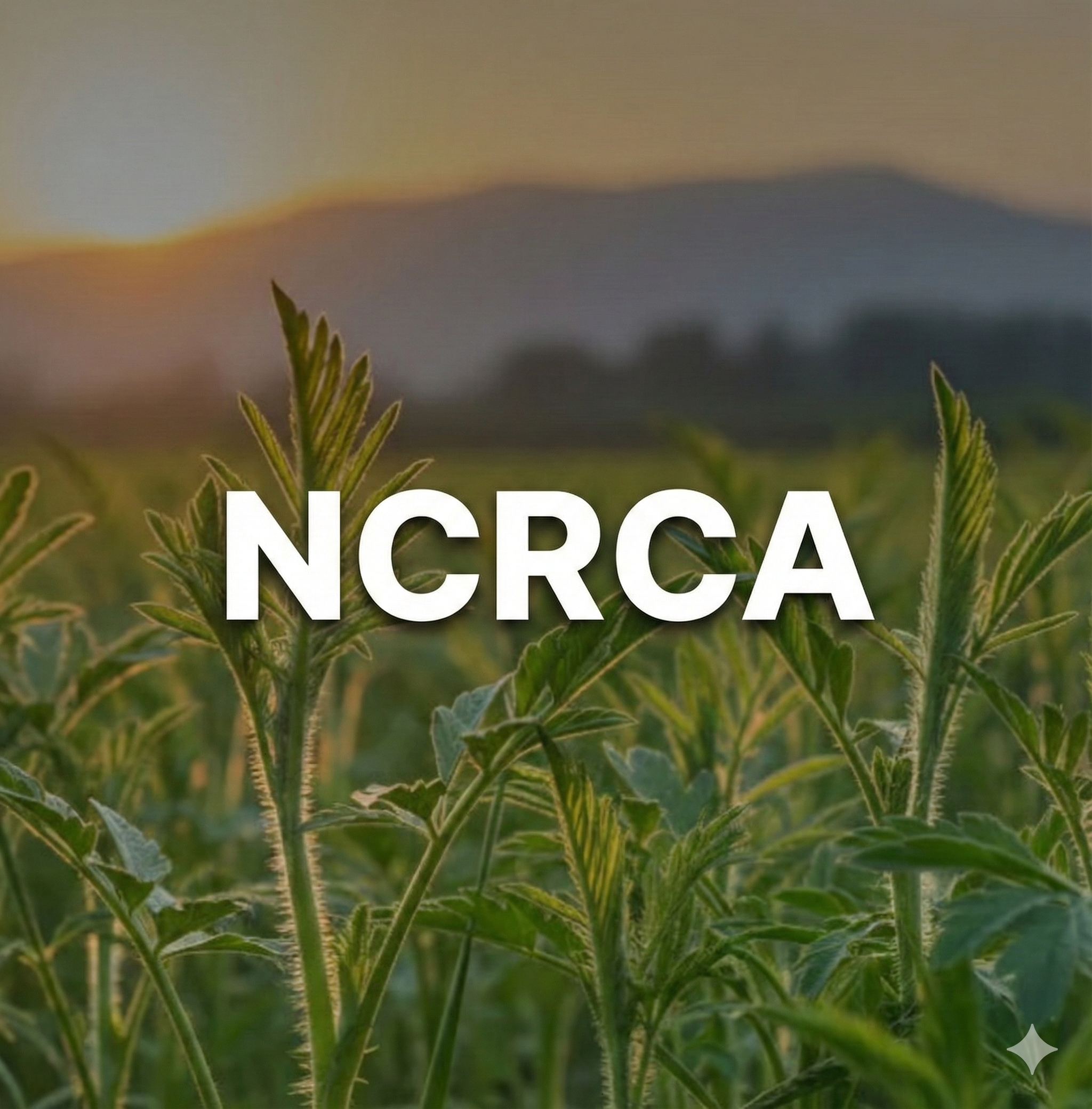 Coalition for Responsible Cannabinoid Access